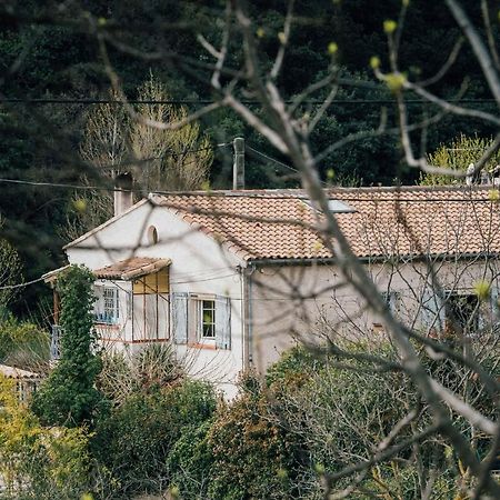 Maison D'Hotes Eco-Responsable Avec Piscine 6X12M Chateaudouble  Exterior photo